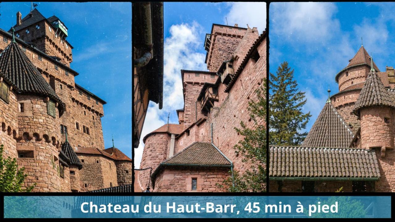 Ferienwohnung Centre - L'Imperial - Parking Saverne Exterior foto